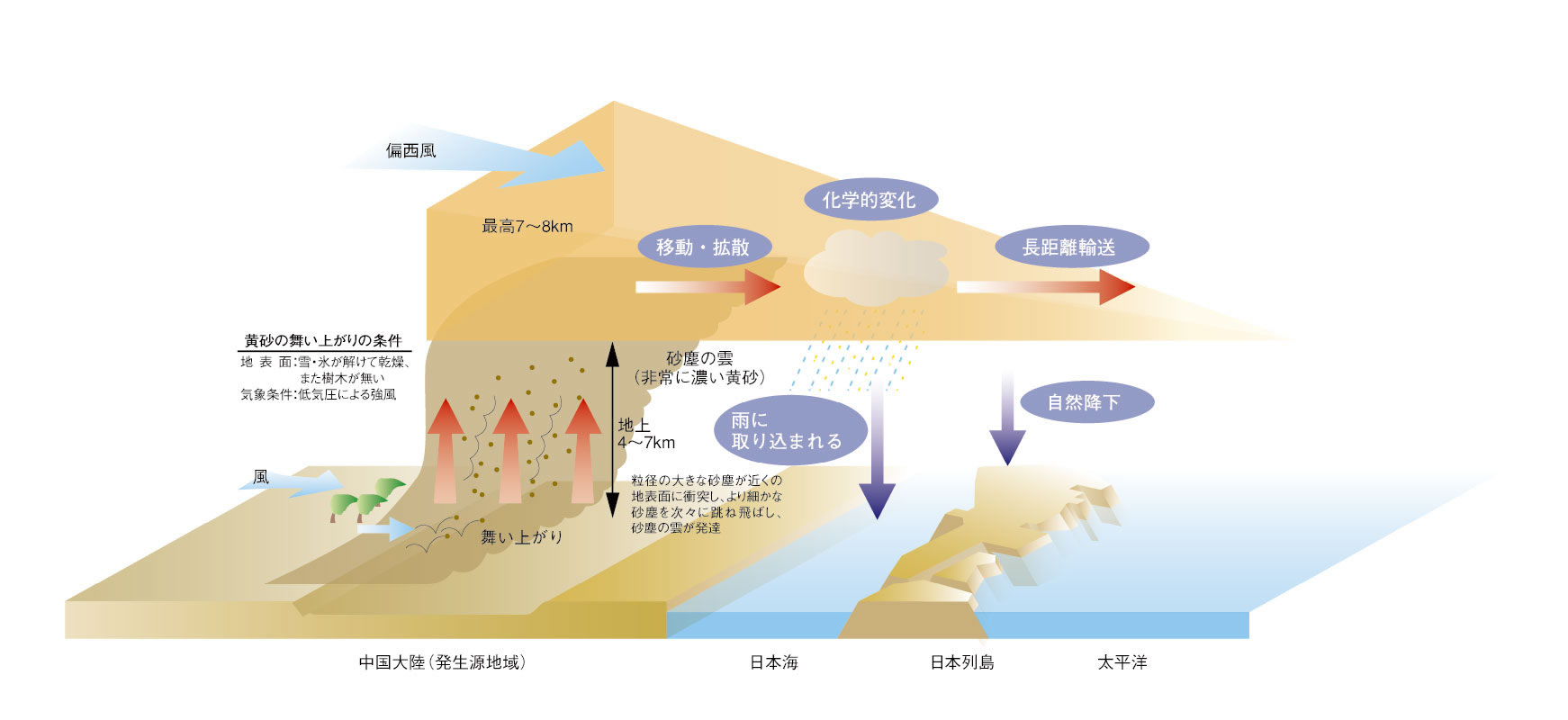 黄砂発生のメカニズム説明の図、風により黄砂が舞い上がり風に運ばれ大気中で化学的変化を起こし短距離で降り注ぐ場合、海を渡り長距離移動後で降り注ぐ場合。