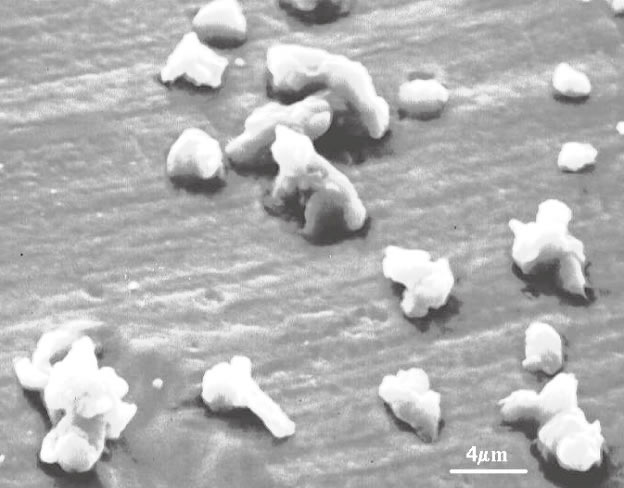 黄砂粒子の電子顕微鏡写真