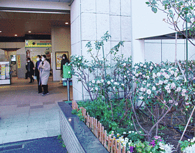 右手には花壇があり、白や紫の花、低い木があります。奥には駅構内の様子も窺えます。