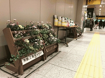 左側には駅ナカの壁沿いにプランターが置かれ、花が咲いています。