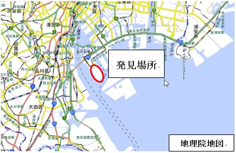 2021年5月にヒアリが発見された東京港青海ふ頭