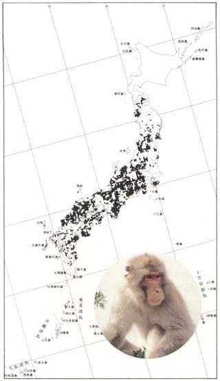 Distribution of Japanese Monkey