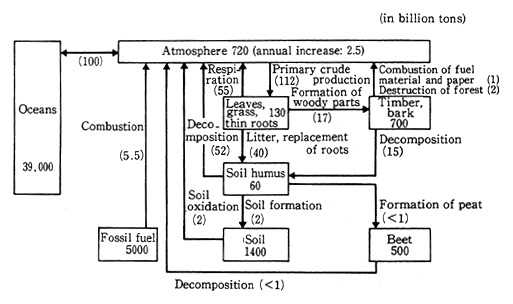 Fig. 1-1-6 Carbon cycle in Biosphere, Atmosphere and Oceans