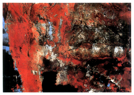 This aerial photo taken from the communication satellite shows the deforestation in Thailand. The red parts of the photo are forests.