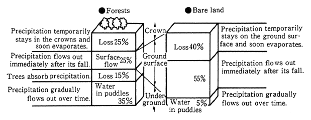 Fig. 1-3-1 Comparison of Precipitation Distribution Between Forest and Bare Lands