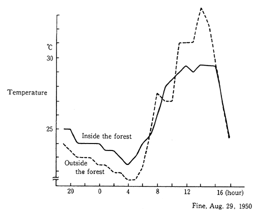 Fig. 1-3-2 Daily Temperature Fluctuations in and Around Machilus Thunbergii Forest