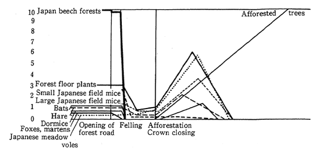 Fig. 1-3-3 Simulated Diagram of Changes in Kinds and Numbers of Medium and Small Mammals by Deforestation