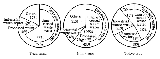 Fig. 6-3-1 Pollution Loads for Teganuma, Inbanuma and Tokyo Bay by Source