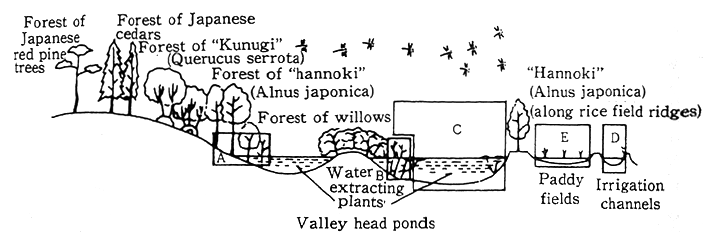 Fig. 1-2-12 Yatsu Fields and Places for Habitat of Dragonflies