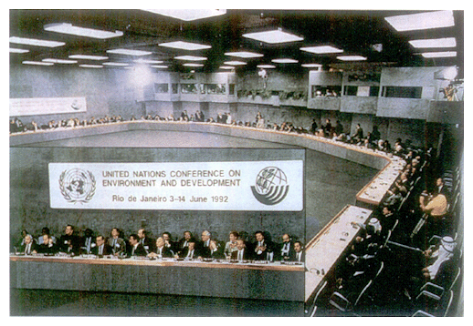 A scene from The Earth Summit in Brazil in June 1992