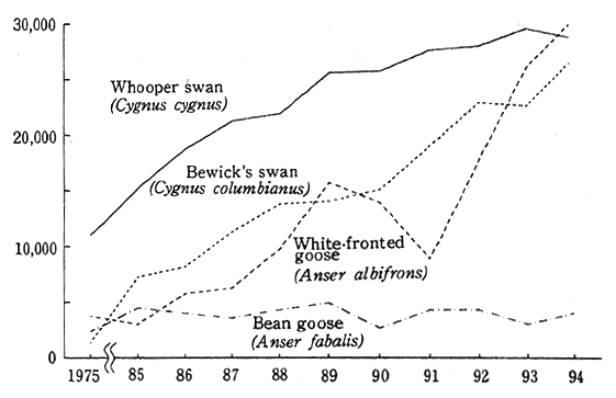 Fig. 4-6-1 Yearly Trends in Swan and Goose Populations