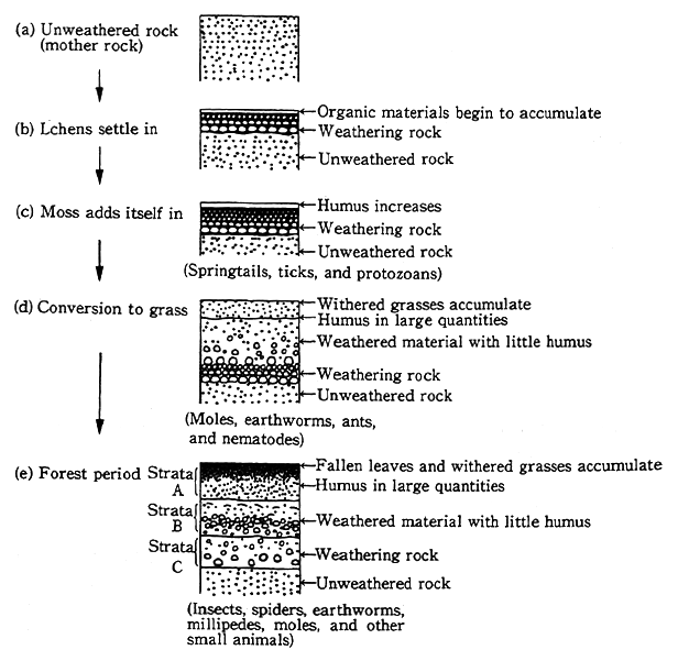 Fig. 3-1-1 From Rock to Soil