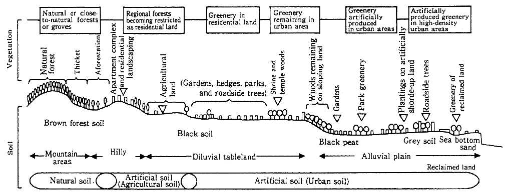 Fig. 3-1-7 Relationship betwees Cities, Greenery, and Soil