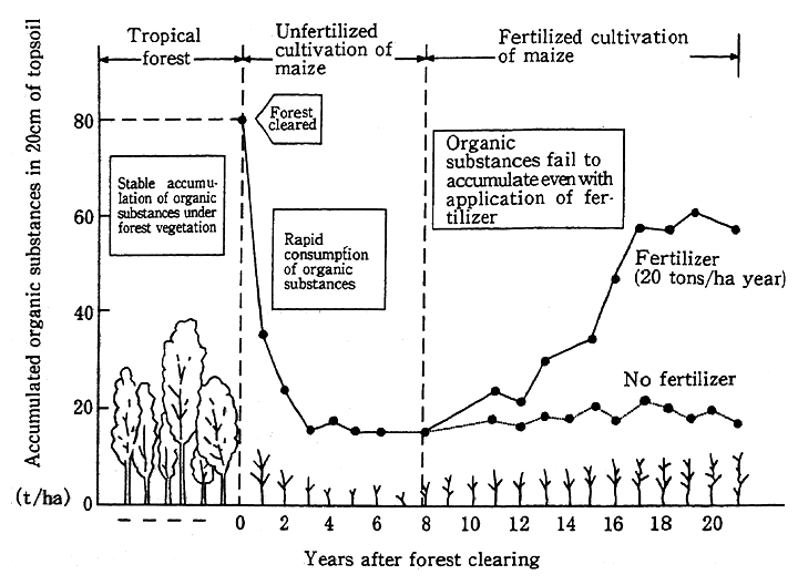 Fig. 3-1-8 Consumption and Accumulation of Organic Substances in Soil After Lumbering in Tropical Forest