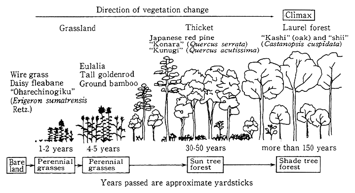 Fig. 3-2-4 Lowland Vegetation Changes for Western Japan including Kanto Area