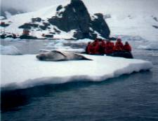 Tourists in Antarctica, watching seals