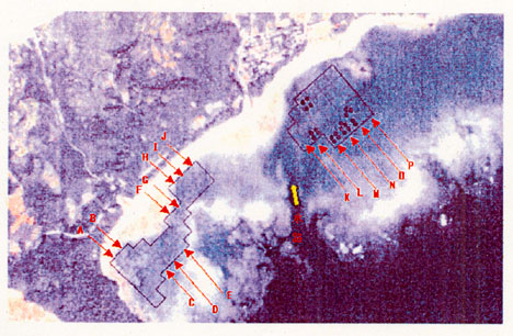 図３「嘉陽地区における食跡確認位置」