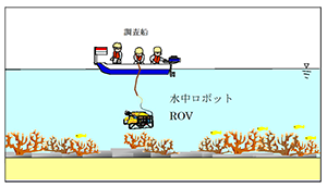 図２．水中ロボットによる調査状況図