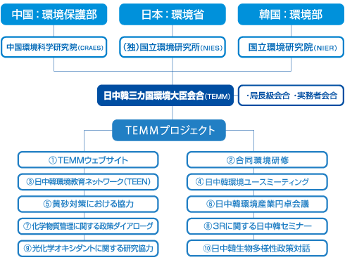TEMM�̑g�D�}