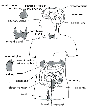 Strategic Programs on Environmental Endocrine Disruptors '98 (SPEED '98