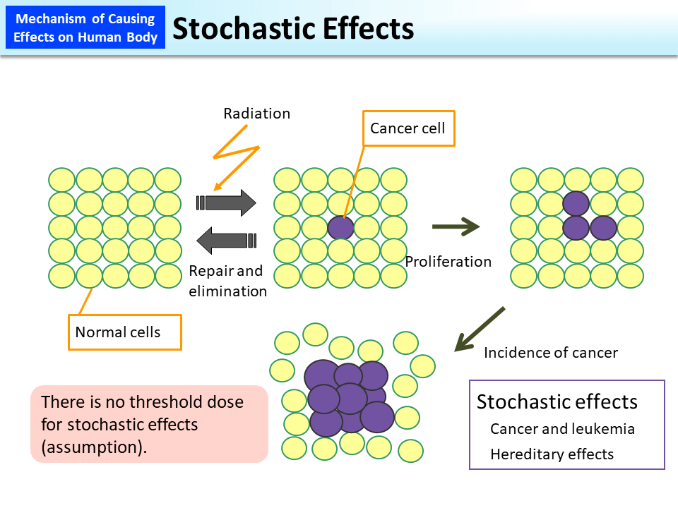 Stochastic Effects_Figure