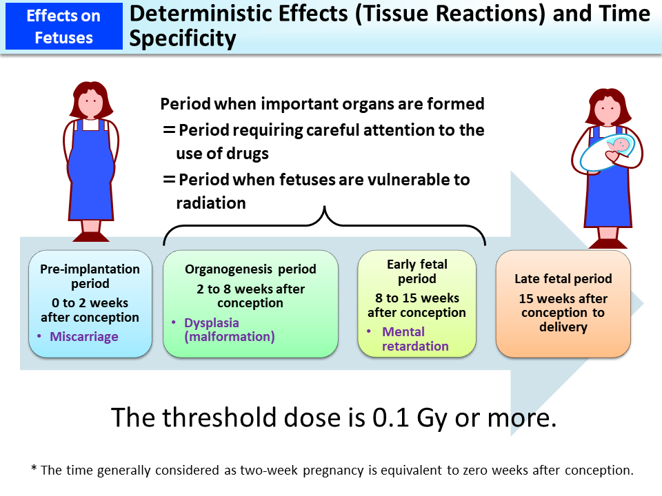Deterministic Effects (Tissue Reactions) and Time Specificity_Figure