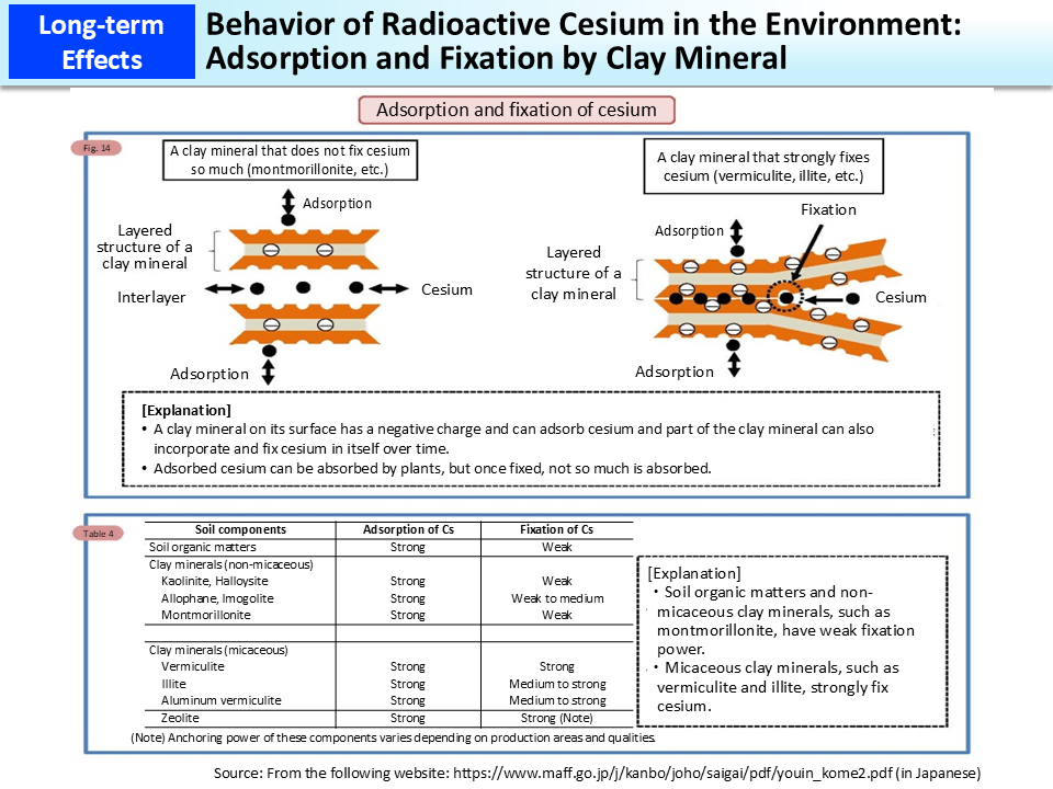 Behavior of Radioactive Cesium in the Environment: Adsorption and Fixation by Clay Mineral_Figure