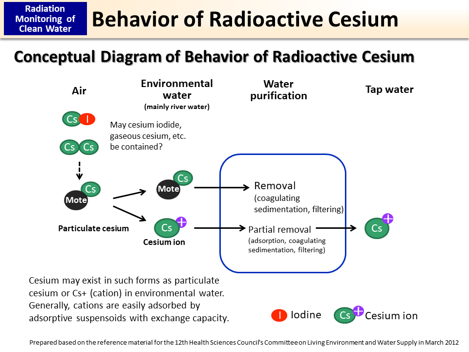 Behavior of Radioactive Cesium_Figure