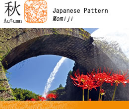 Autumn / Japanese Pattern Momiji