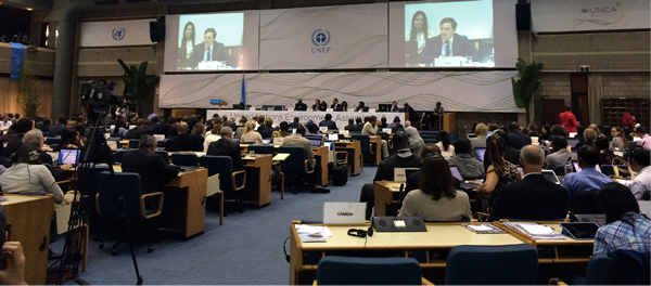 Photo: A scene from UNEA