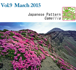 Vol.9 March 2015 / Japanese Pattern Camellia