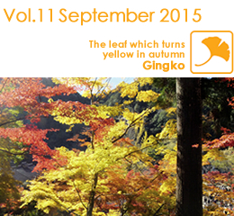 Vol.11 September 2015 / The leaf which turns yellow in autumn Gingko
