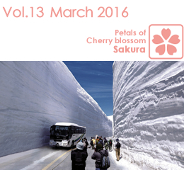 Vol.13 March 2016 / Petals of Cherry blossom Sakura