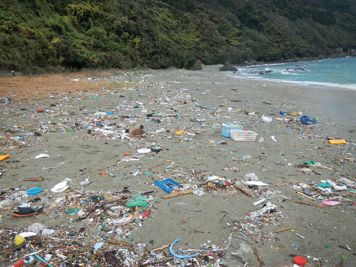 photo: Marine plastic litter washed ashore