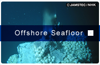 Sea floor