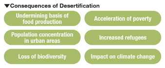 Consequences of Desertification
