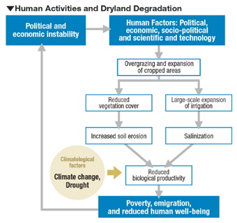 Human Activities and Dryland Degradation