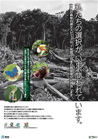 Promoting Public Awareness on the Illegal Logging Problem