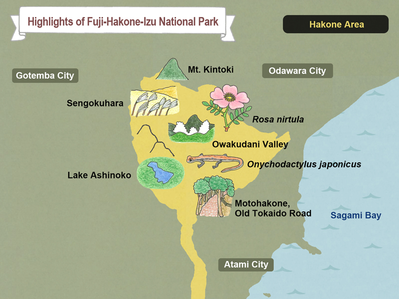 map of Fuji-Hakone-Izu National Park Hakone Area
