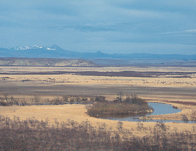 Photo:Kushiro Shitsugen National Park