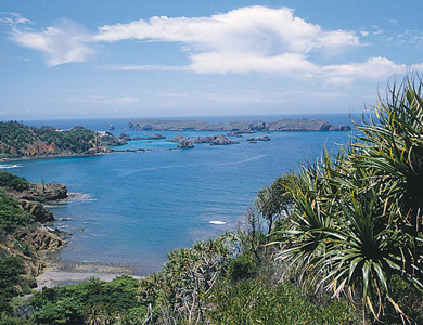 Photo:Ogasawara National Park