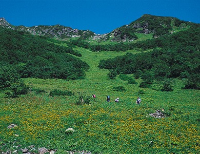 Photo:Minami Alps National Park