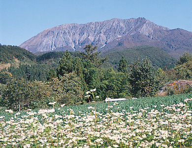 Photo:Daisen-Oki National Park