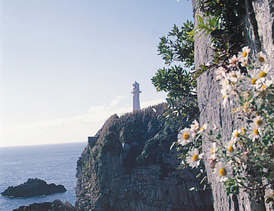 Photo:Ashizuri-Uwakai National Park