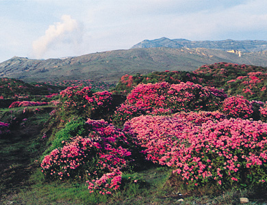 Photo:Aso-Kuju National Park