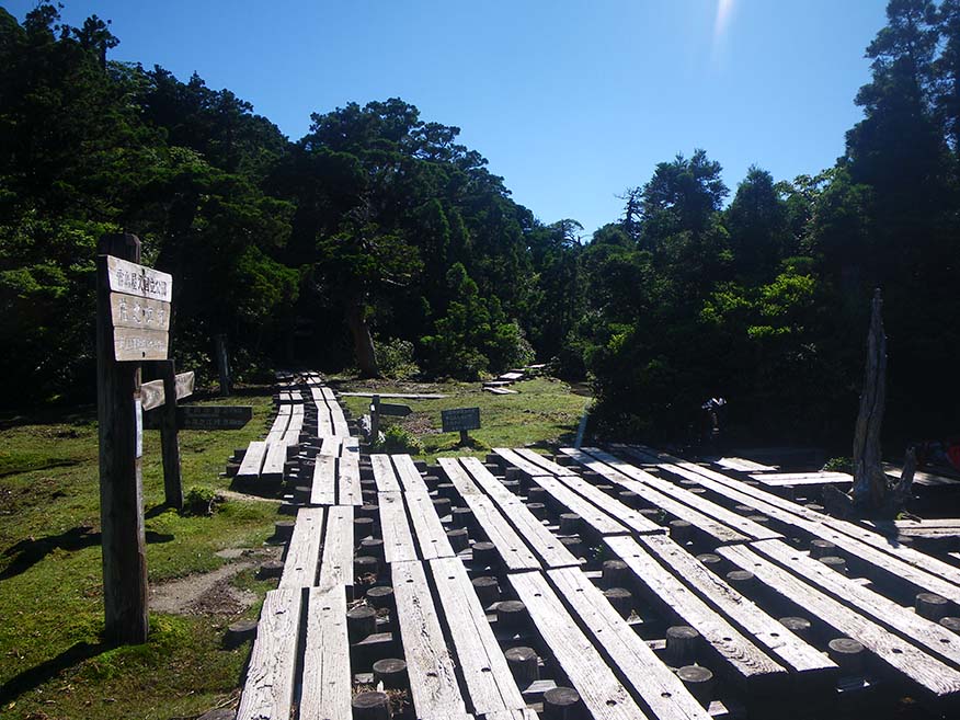 The Hananoego Junction. The photo shows the junction in the foreground surrounded by trees on a fine day. The junction also has a rest area consisting of a large number of planks.