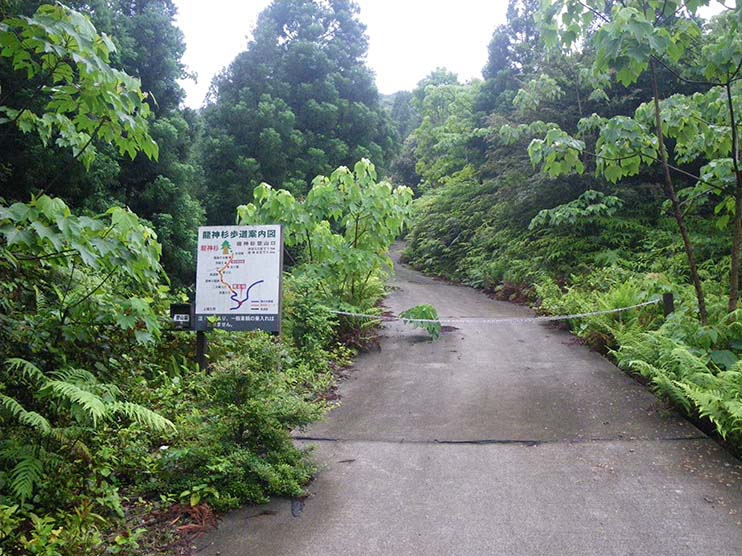 The Ryujin-sugi Cedar Trail Entrance. Since it also serves as a forest road, it is paved. The entrance is chained. The trail notice board is at left in the photo.