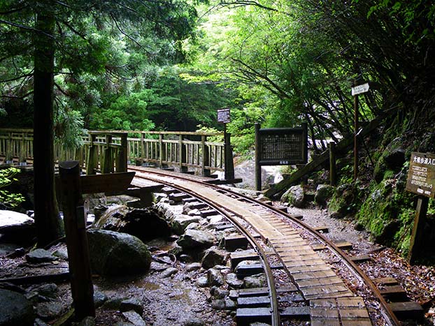 The Okabu Trail Entrance. A railcar track runs through the lush green forest.