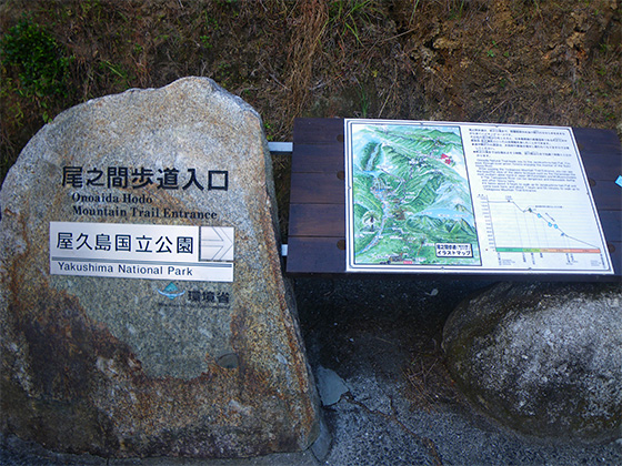 The Onoaida Trail Entrance. 'Yakushima National Park Onoaida Trail Entrance' is engraved in the rock in the left of the photo. The wooden board at right displays a map of the area.