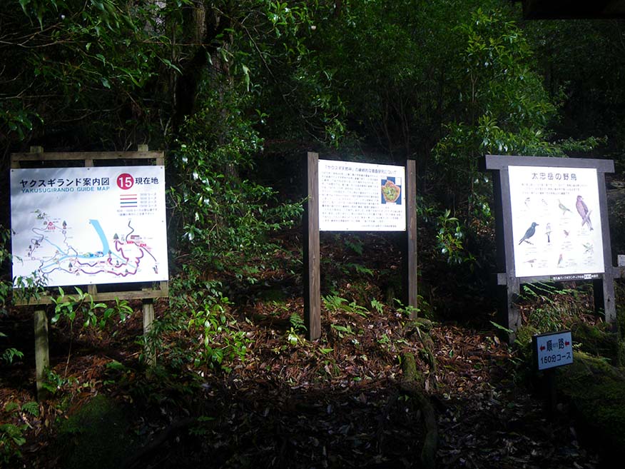 The sign on the left provides a guide for the entire Yakusugi Land. The sign on the right explains the wild birds at Mt. Tachu. The sign in the center is illegible.
